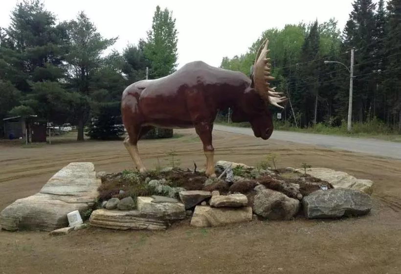 L'auberge Refuge Du Trappeur