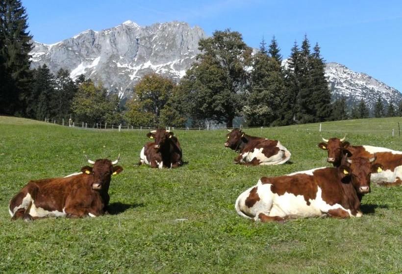 ホテル Oberharreithhof