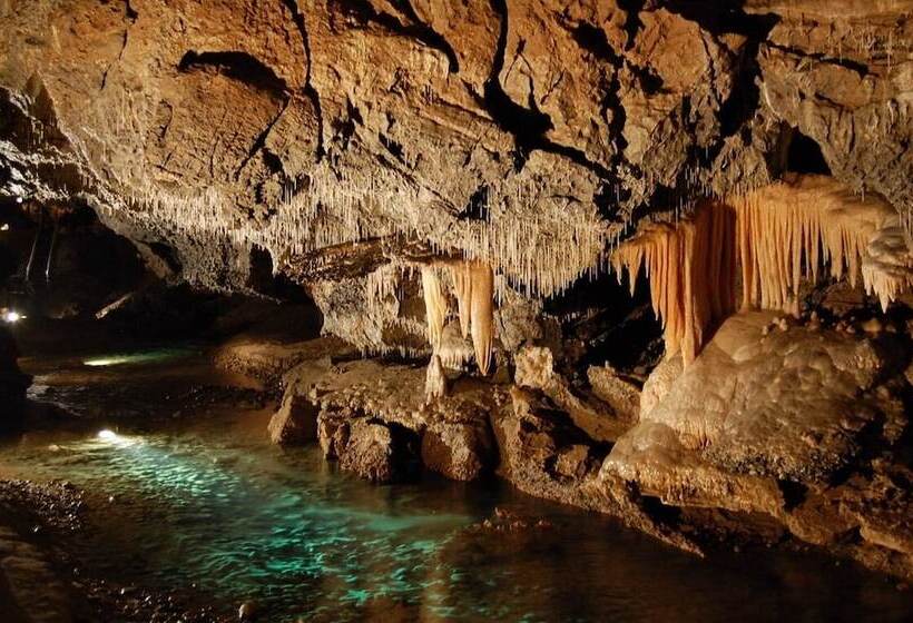 펜션 Penzion Panda