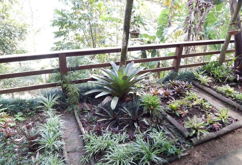 Пансион Pousada Mar De Sonhos