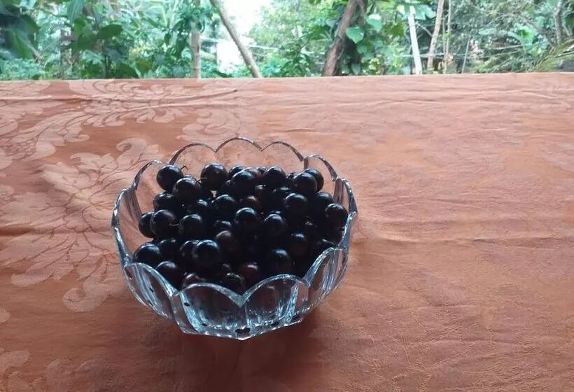 Majatalo Pousada Mar De Sonhos