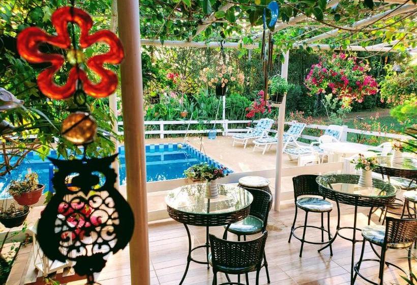 펜션 Pousada Recanto Dos Passáros