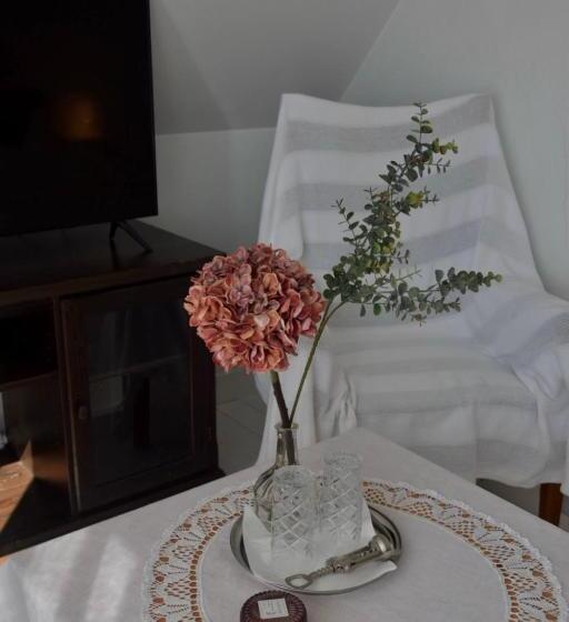 پانسیون Spicīte