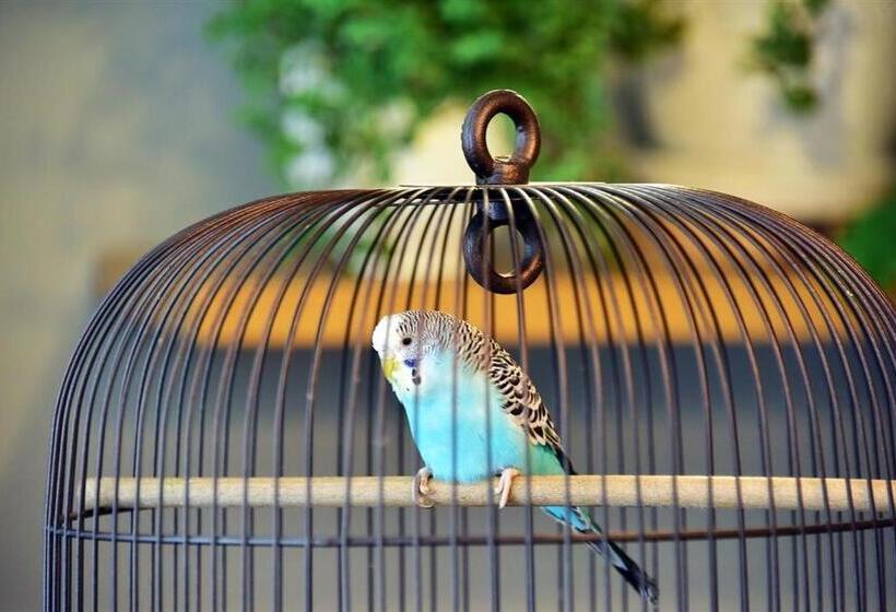 پانسیون Spicīte