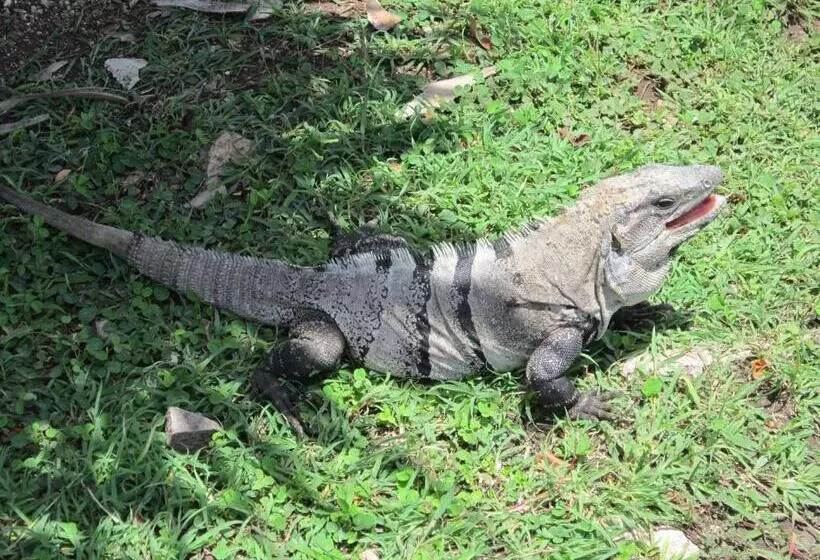 Majatalo Buenos Días Guest House