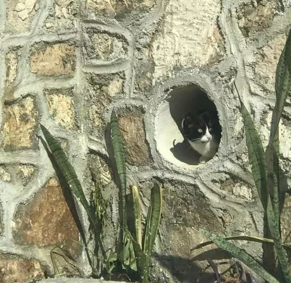 Majatalo Buenos Días Guest House