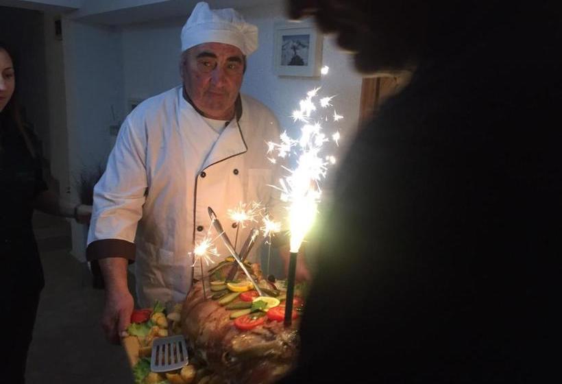 Pension Guest House Planinski Zdravets