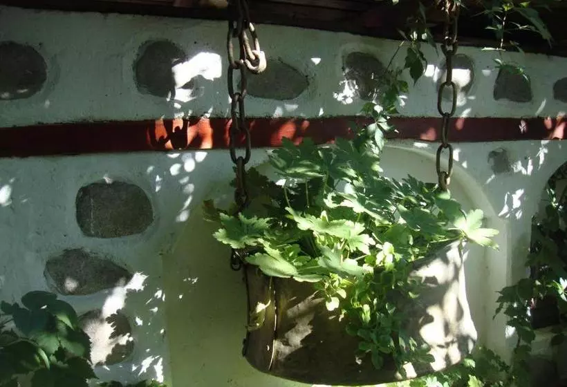 پانسیون Guest House Planinski Zdravets