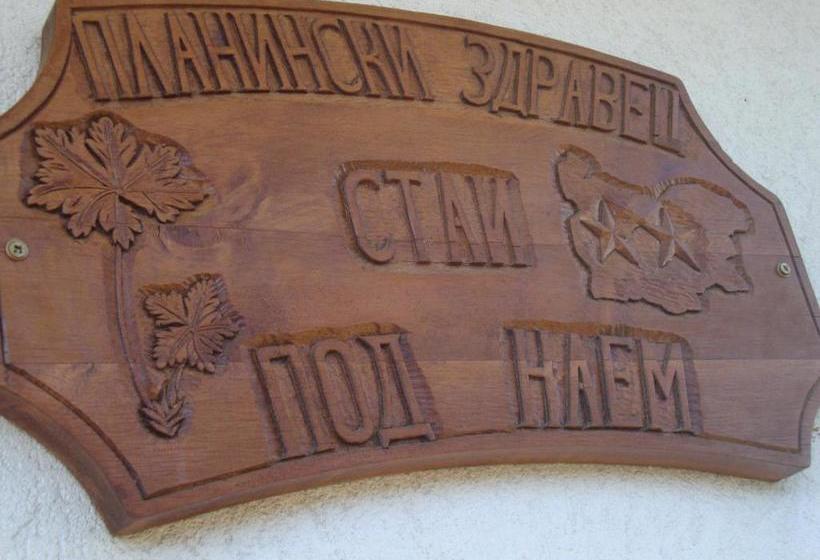Pension Guest House Planinski Zdravets