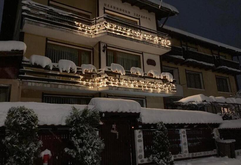 Pension Guest House Planinski Zdravets