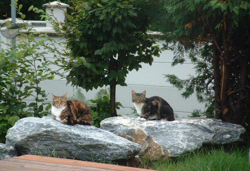 Pensione Haus Luca Seeblick