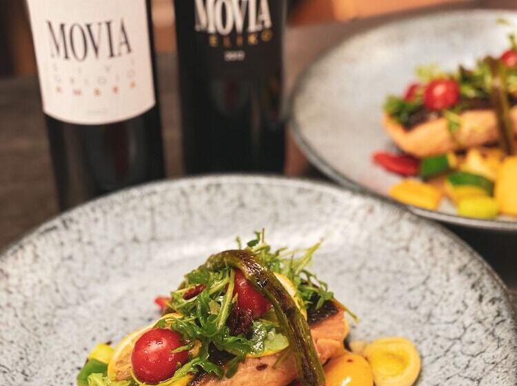 پانسیون Hiša Aleš