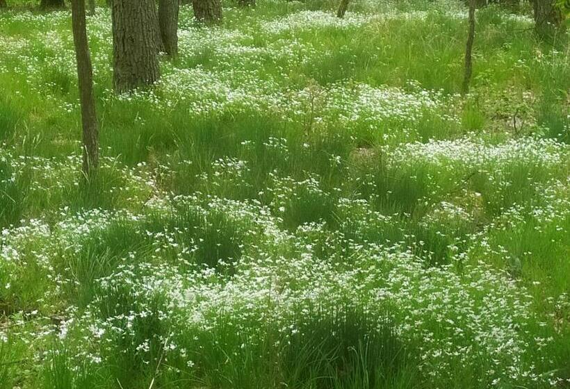 פנסיון Penzion A Restaurace Nad Hradem