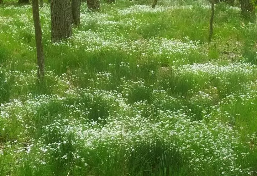 ペンション Penzion A Restaurace Nad Hradem