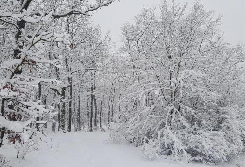 פנסיון Penzion A Restaurace Nad Hradem