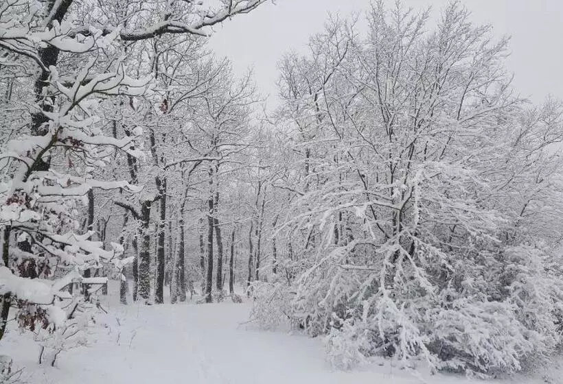 ペンション Penzion A Restaurace Nad Hradem