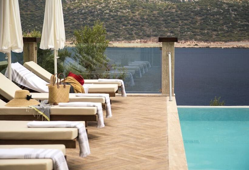 تختخواب و صبحانه Suna Sun Hotel Adult Only