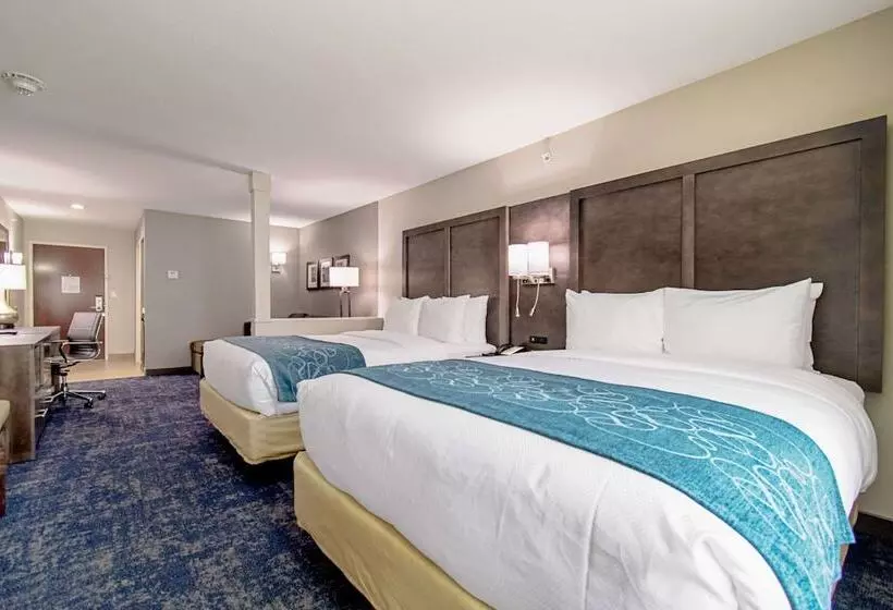ホテル Comfort Suites Humble Houston Iah