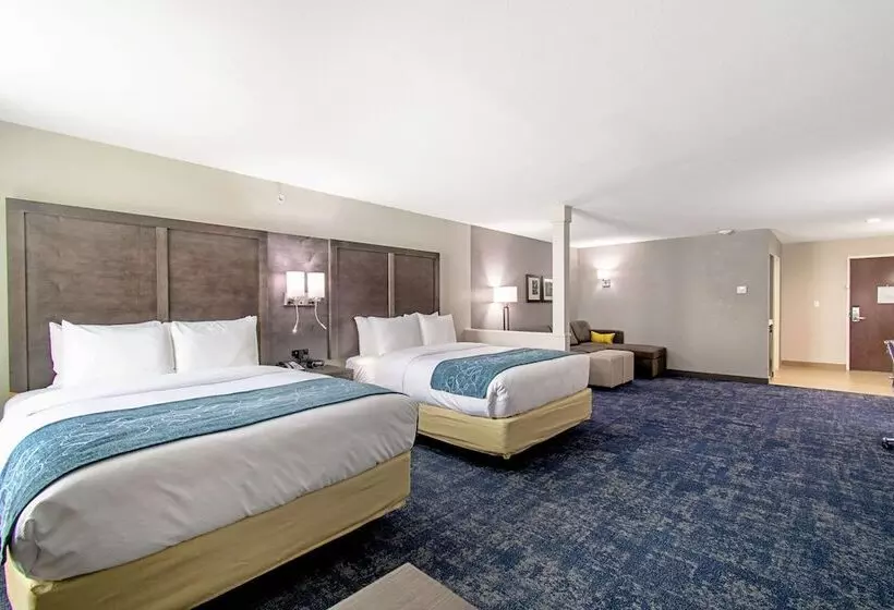 ホテル Comfort Suites Humble Houston Iah