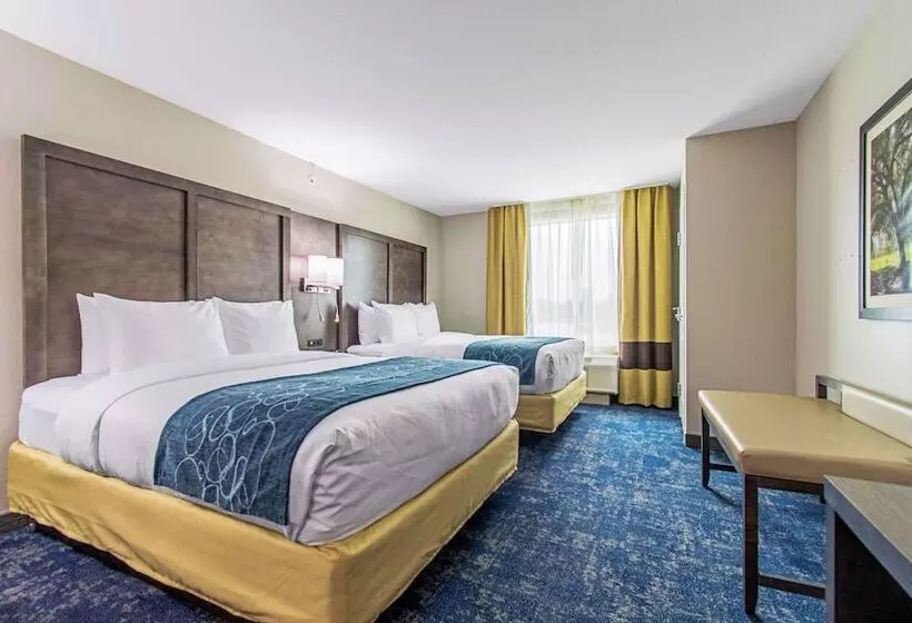 ホテル Comfort Suites Humble Houston Iah