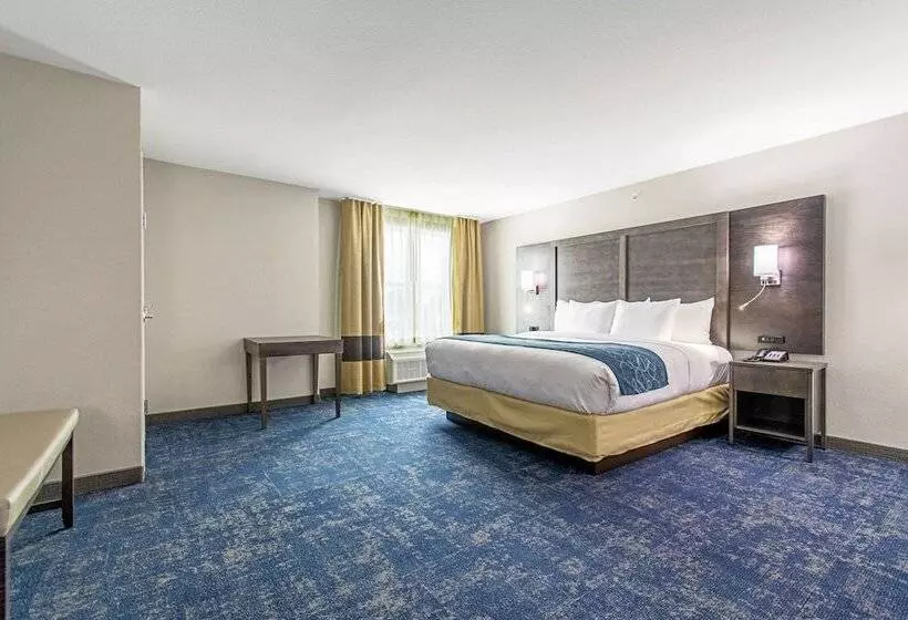 ホテル Comfort Suites Humble Houston Iah