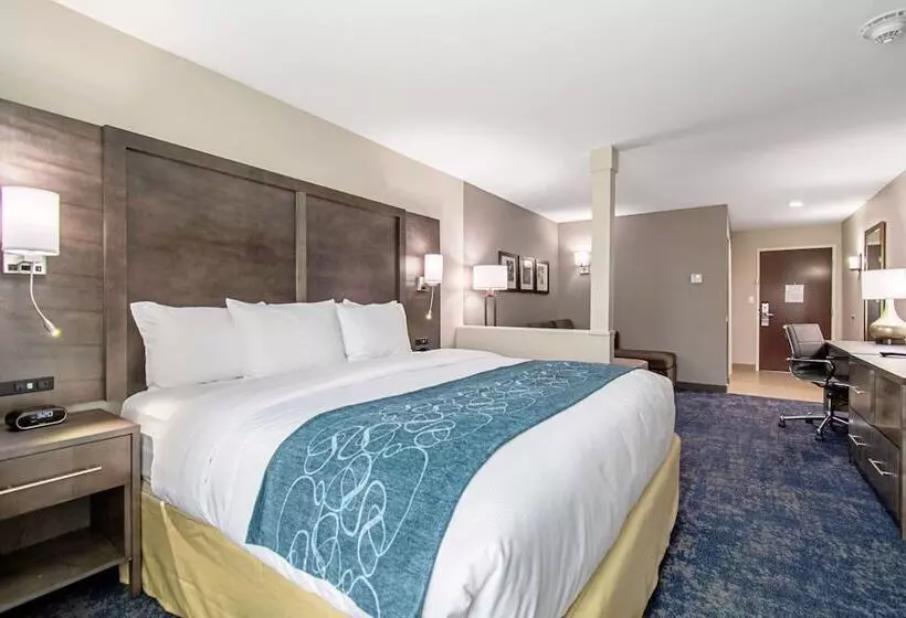 ホテル Comfort Suites Humble Houston Iah