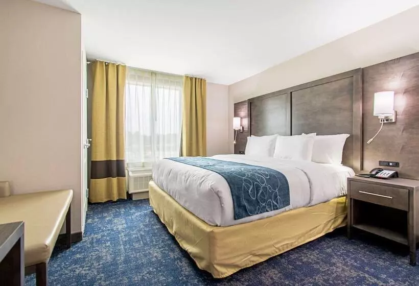 ホテル Comfort Suites Humble Houston Iah