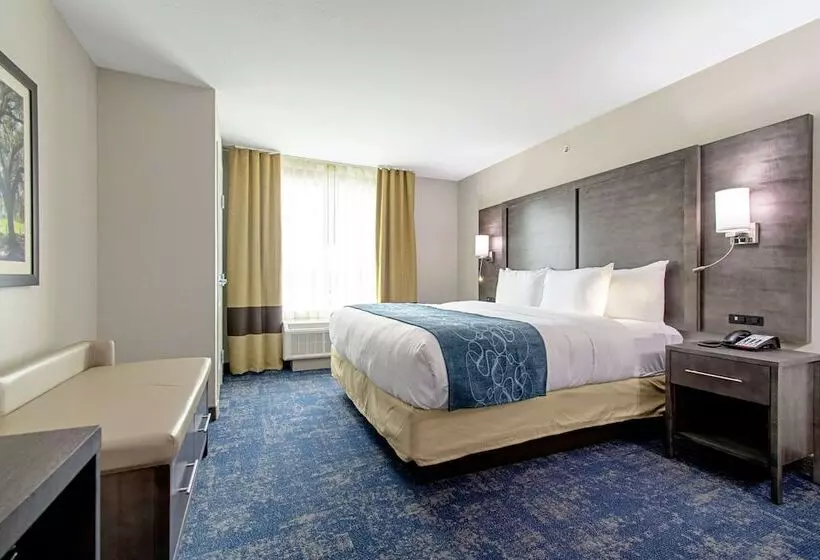 ホテル Comfort Suites Humble Houston Iah