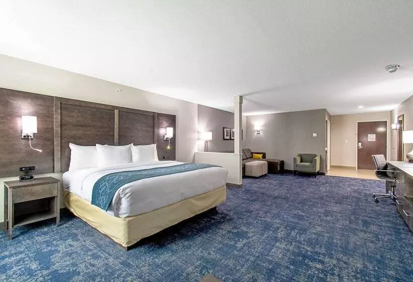 ホテル Comfort Suites Humble Houston Iah