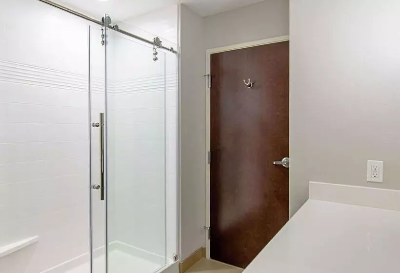 ホテル Comfort Suites Humble Houston Iah