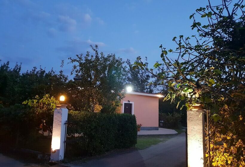 酒店 Mileona Rooms