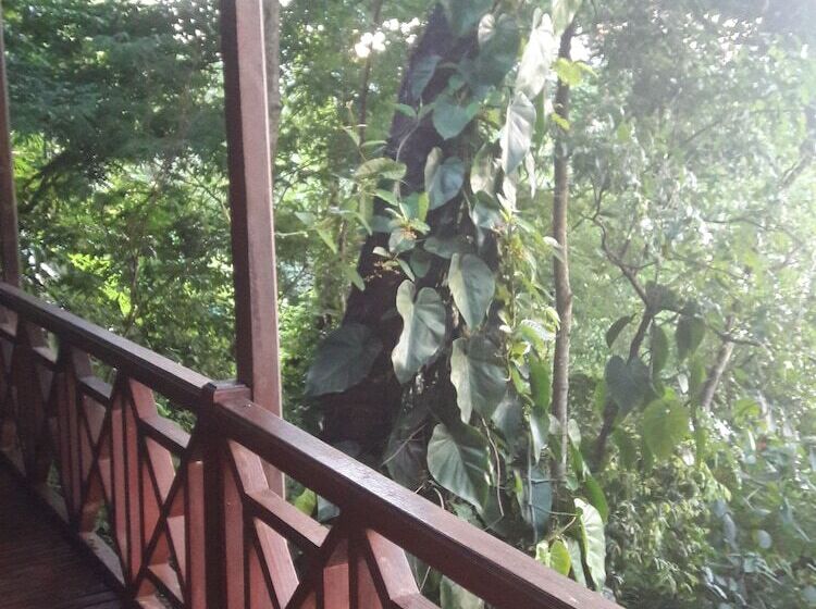 호텔 Panambi Lodge B&b