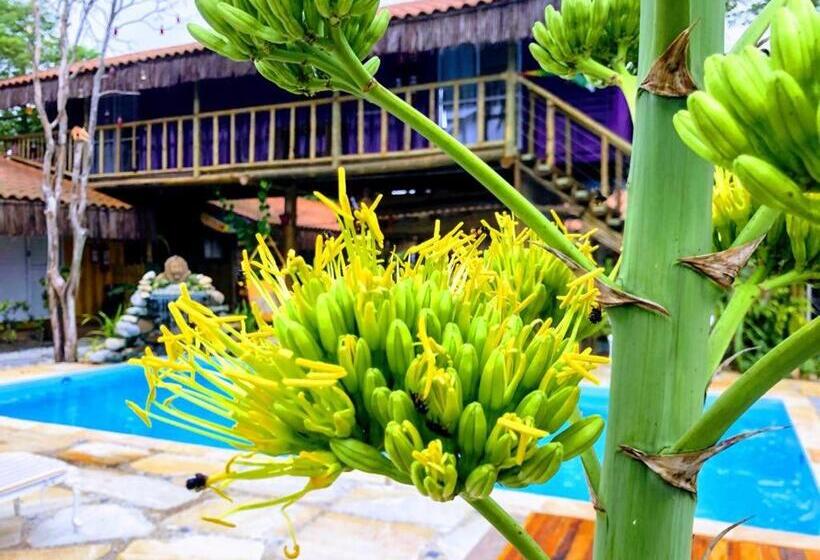هتل Pousada Papaya Container