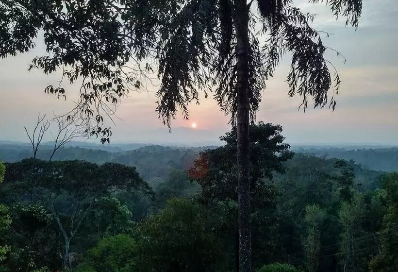 Hostal Forestdale Coorg