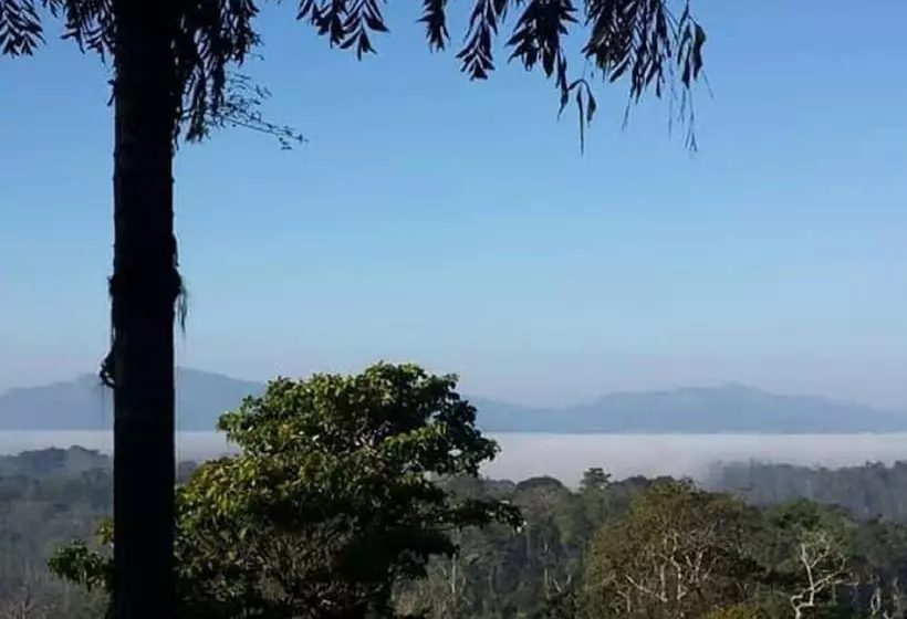 Hostal Forestdale Coorg