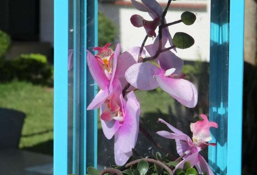 هتل Blue Lagoon Lodge Blantyre