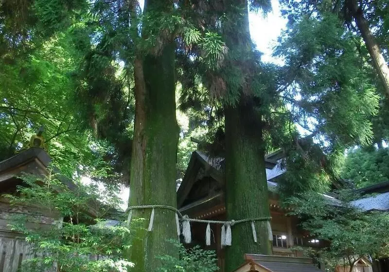 Hotelli Grateful Takachiho