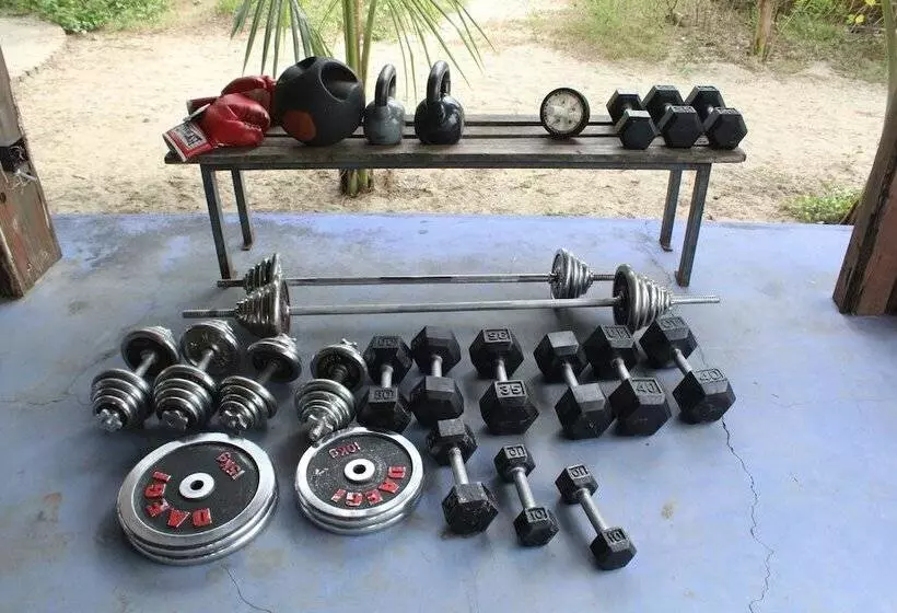 ホテル Mermaid Beach Resort