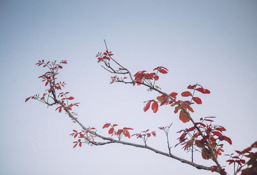 Chapulin Natural Resort