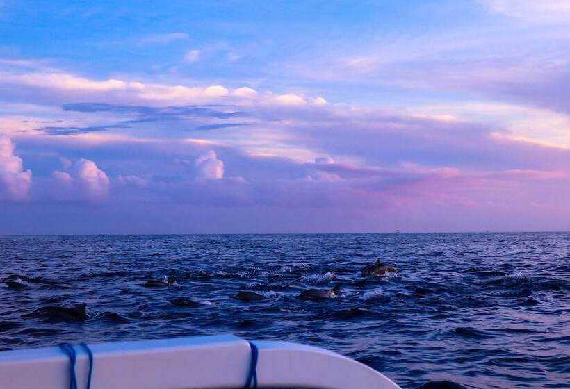 簡易ホテル Puri Sunny Camping