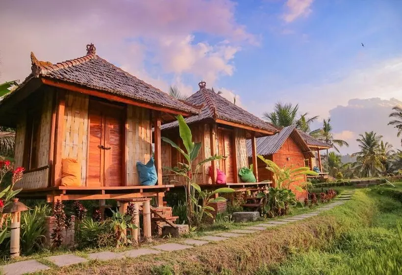 Hostelli Puri Sunny Camping