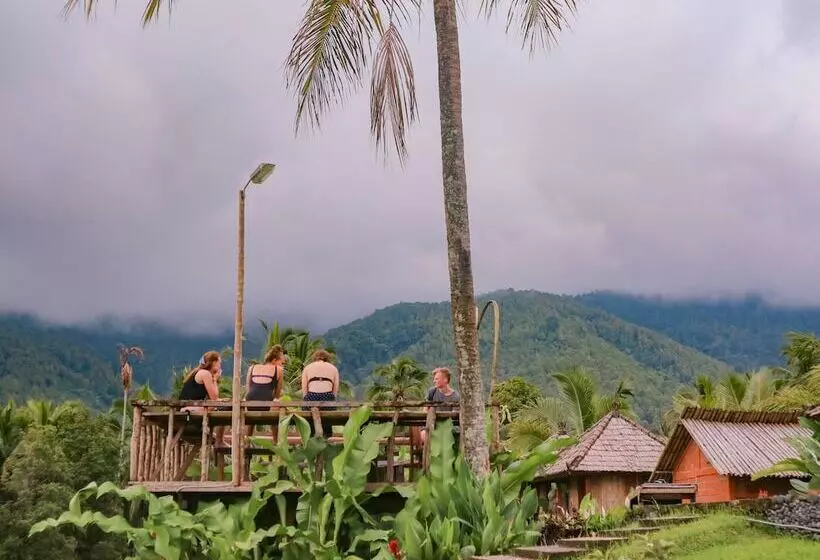 Hostelli Puri Sunny Camping