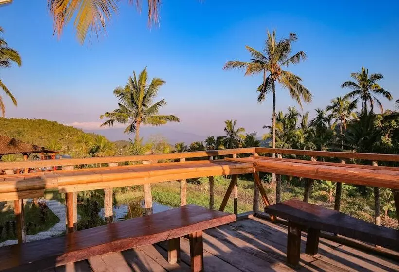 Hostelli Puri Sunny Camping