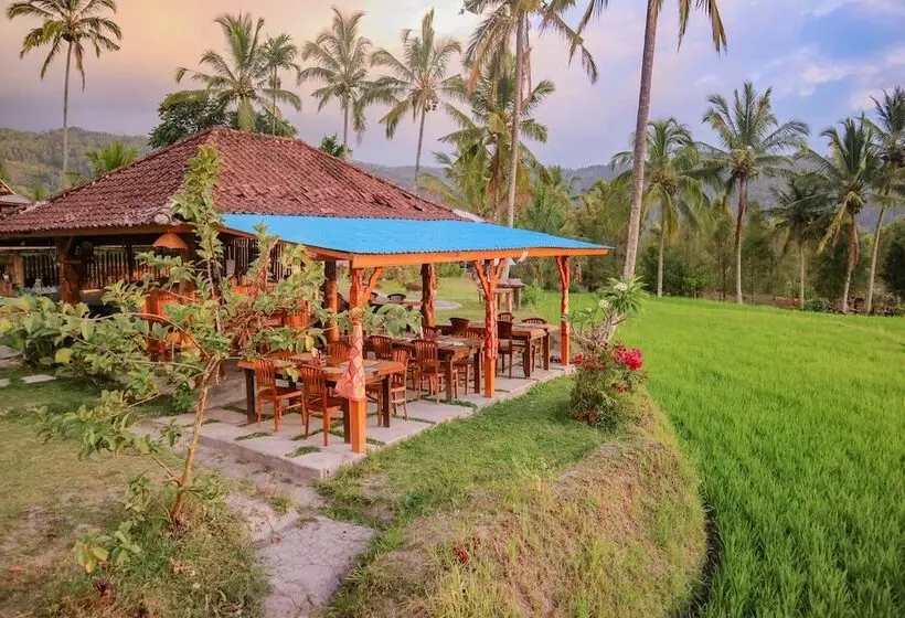 Hostelli Puri Sunny Camping