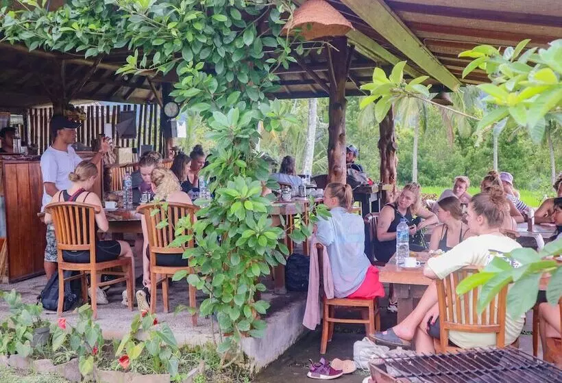 Hostelli Puri Sunny Camping