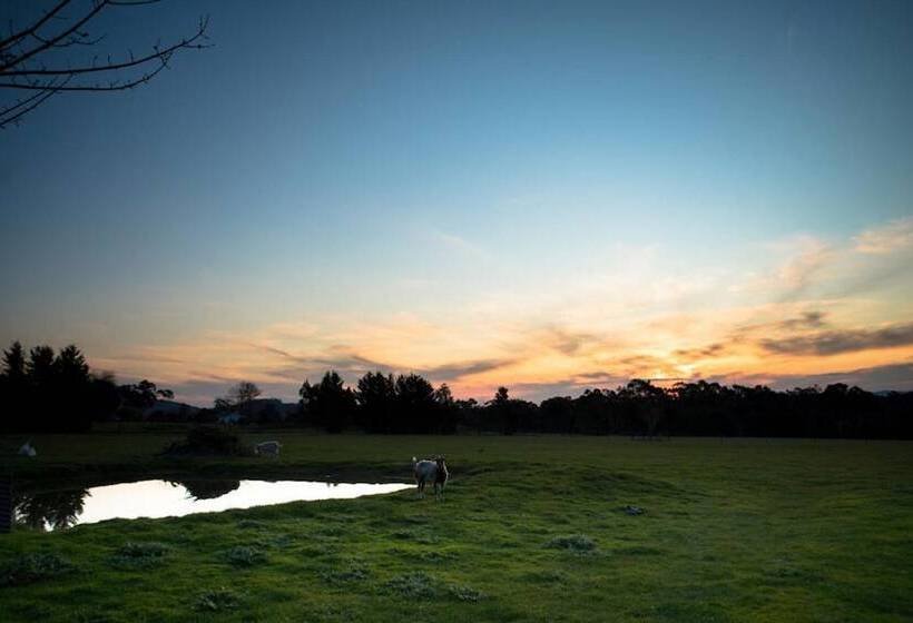 여관 Sanctuary Park Cottages