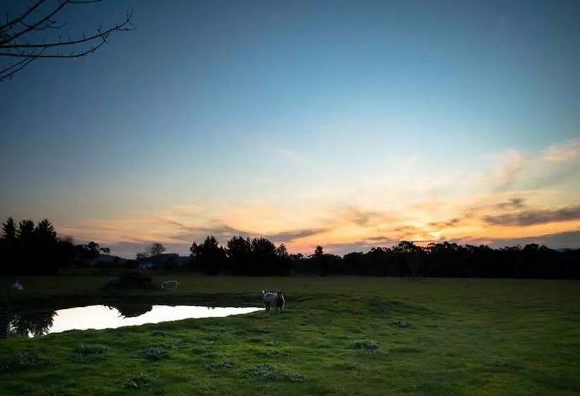 簡易ホテル Sanctuary Park Cottages