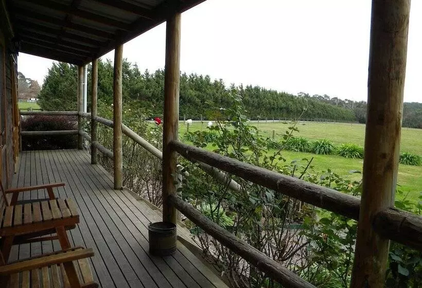 簡易ホテル Sanctuary Park Cottages