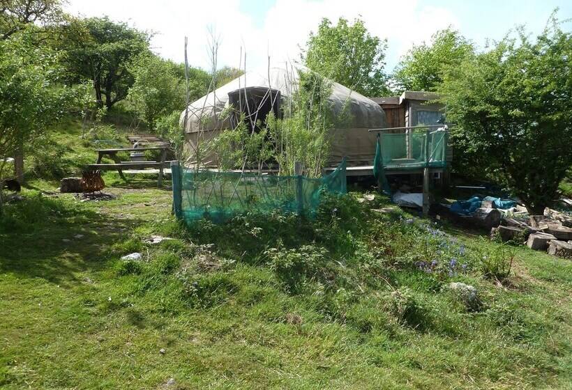 Хостел Yurt Luxury & Bathouse