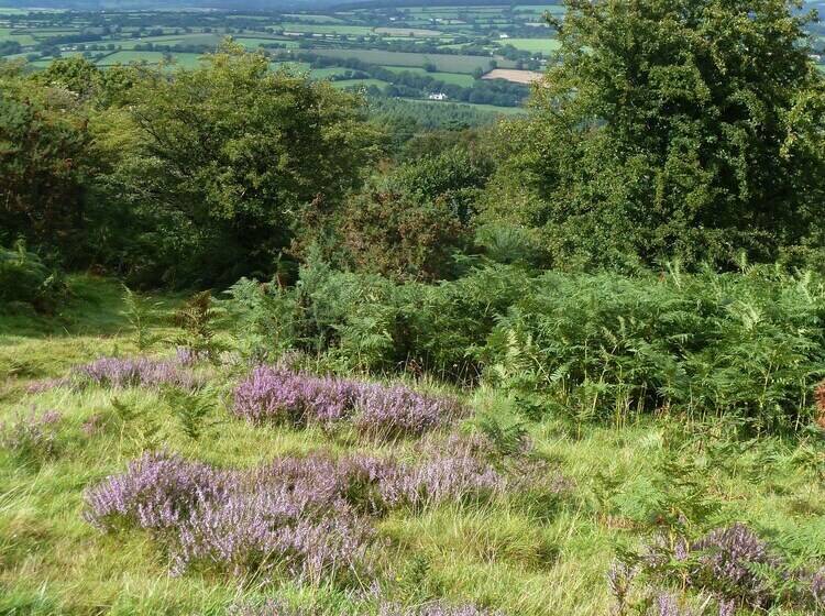 Хостел Yurt Luxury & Bathouse